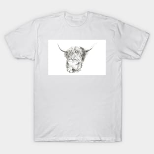 honey the scottish highland cow T-Shirt